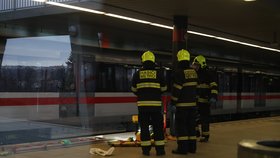 Ve stanici metra Vyšehrad skočil muž pod soupravu metra. (25. leden 2022)