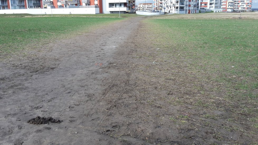 Vyšlapaná cesta mezi sídlištěm a chodníkem zkracuje obyvatelům cestu o několik set metrů.