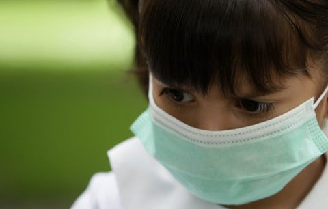 Česko má pátou oběť prasečí chřipky