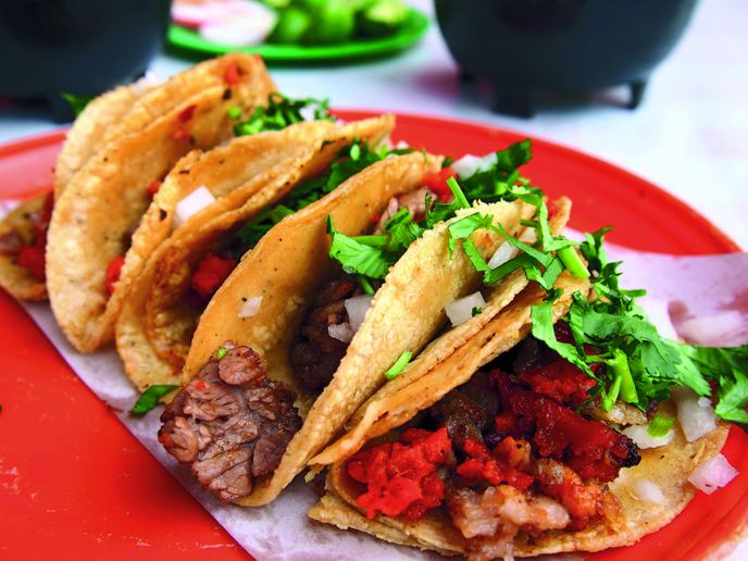 Kukuřice, fazole a chilli. Tato „svatá trojice“ tvoří základ mexické kuchyně, která je středobodem života každého Mexičana