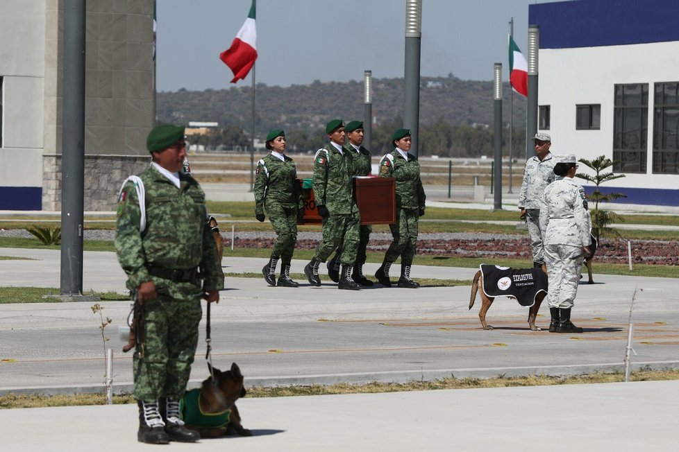 Ostatky pejska Protea, který zemřel při pátrání po přeživších v Turecku, se vrátily do Mexika.