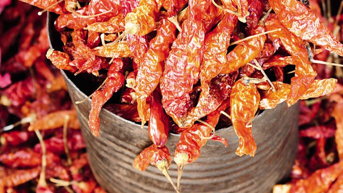 Chilli je jednou z důležitých mexických surovin, ale zároveň nemusí být místní kuchyně vždy nutně pálivá