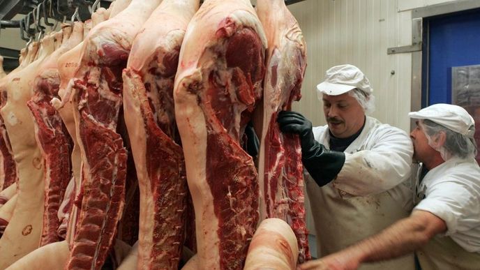 Mezi dovozci potravin do ČR vede Německo, mezi artikly vepřové maso