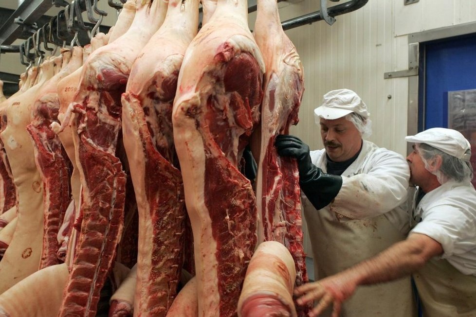Mezi dovozci potravin do ČR vede Německo, mezi artikly vepřové maso.
