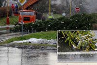 Silný vítr skácel na Mostecku vánoční strom do silnice. Vydržel jen tři dny