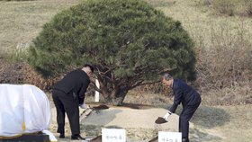Kim Čong-un a Mun Če-in společně zasadili strom.