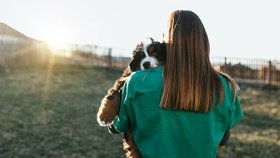 Dnes je Světový den zvířat: Pomozte naplnit misky v útulcích i letos! 