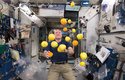 Přistání lodi u Mezinárodní vesmírné stanice (ISS) znamená zpravidla také novou zásilku čerstvého ovoce a nefalšované radosti