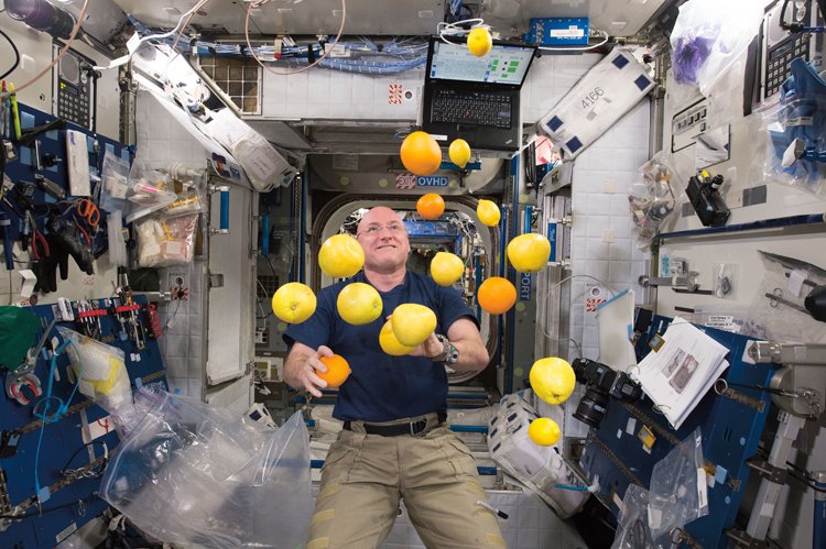Přistání lodi u Mezinárodní vesmírné stanice (ISS) znamená zpravidla také novou zásilku čerstvého ovoce a nefalšované radosti