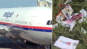 Na internetu se objevily věci ze sestřeleného letu MH17.