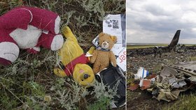 Mezi nalezenými předměty, které patřili cestujícím letu MH17, byly i hračky.