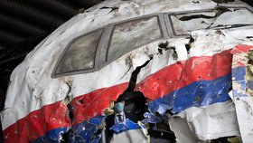 Letoun MH17 sestřelila raketa Buk