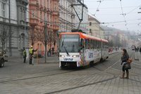 Pes výletník se v Brně svezl tramvají: Výběrem linky pobavil