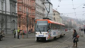 Pes výletník se v Brně svezl tramvají: Výběrem linky pobavil