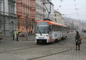 Pes výletník se v Brně svezl tramvají: Výběrem linky pobavil.