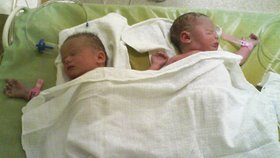 Po narození vážilo každé z děvčátek sice jen 2,5 kilogramu, byla ale obě zdravá