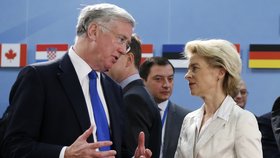 Britský ministr obrany Fallon má obavy z Putina. Na snímku při rozhovoru s německou ministryní obrany Ursulou von der Leyen.