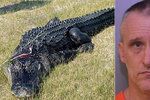 Kusy těla muže byly nalezeny v útrobách aligátora. Zvíře ho však nezabilo.