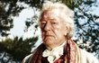 Michael Gambon