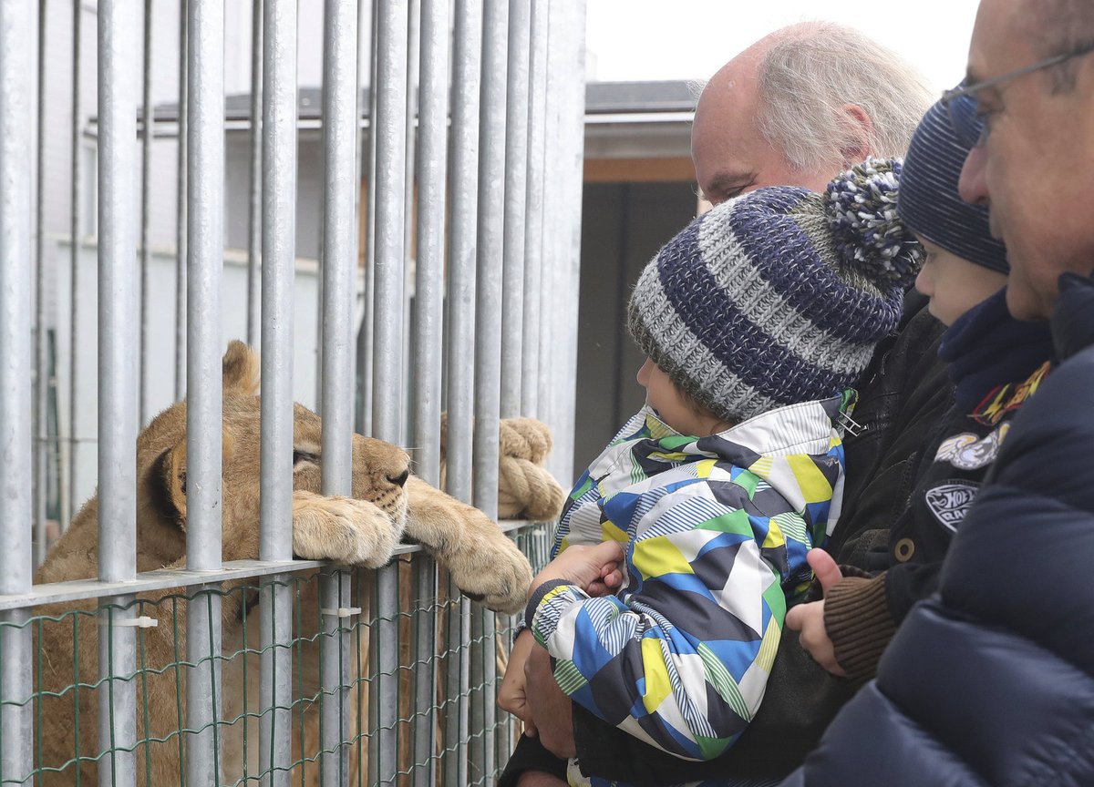 Michael Kocáb se synem Davidem v soukromé zoo v Lounech