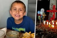 Nevinné mazlení skončilo smrtí: Michaela (†8) na ulici zabili agresivní psi