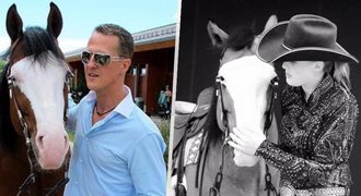 Smutek u Schumacherových: Smrt milovaného koně, který vydělal půl miliardy!