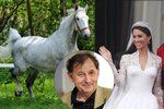 „Padlo to na mě.“ Diplomat urovnával trapas Česka s koňským darem na královskou svatbu