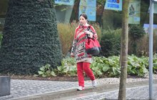 Konec Jílkové na ČT? Blesková reakce vedení televize Konec Jílkové na ČT? Blesková reakce vedení televize