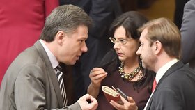 Ministryně Marksová (ČSSD) během projednávání zákona o sociálním bydlení ve Sněmovně debatovala s poslanci Blažkem (ODS) a Sklenákem (ČSSD).