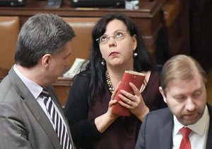 Ministryně Marksová (ČSSD) během projednávání zákona o sociálním bydlení ve Sněmovně debatovala s poslancem Blažkem (ODS).