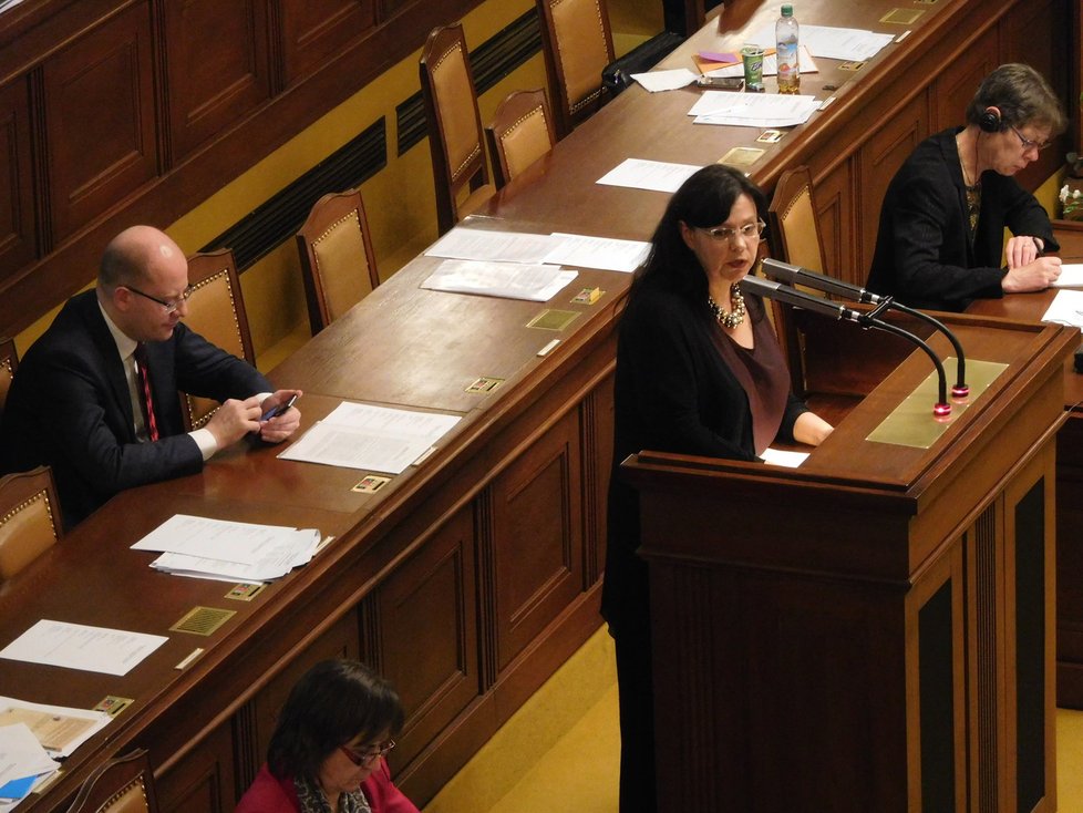 Bývalá ministryně práce a sociálních věcí Michaela Marksová (ČSSD)