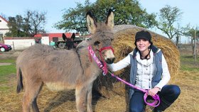 Míša Maurerová s novým rodinným přírůstkem, tříměsíční osličkou Boženkou