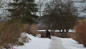 Policisté v pondělí prohledávali okolí domu a školy, kde Míša ztratila.