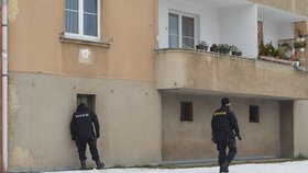 Policisté v pondělí prohledávali okolí domu a školy, kde se Míša ztratila.