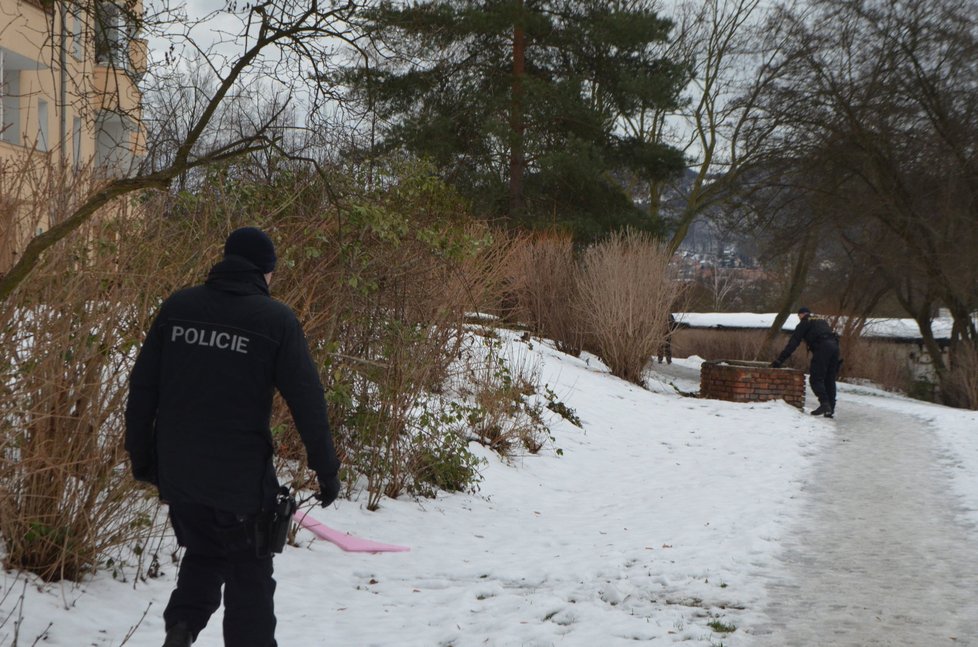 Policisté v pondělí prohledávali okolí domu a školy, kde Míša ztratila