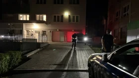 Zadržení podezřelého