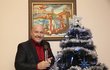 Vánoční strom stojí u Davidů před obrazem Karla Gotta a Michal vedle radostně pózuje se svým jediným Slavíkem.