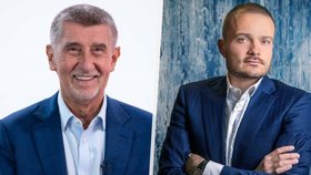 Andrej Babiš a Michal Strnad