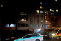 Psychiatrička o masakru na sídlišti: Vražda vlastních dětí jde proti lidské přirozenosti!