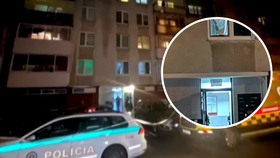 Rodinná tragédie na sídlišti: Policisté v bytě našli zastřelené rodiče i děti