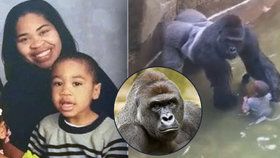 Z telefonátu Michelle Gregg je patrné, jak moc se bála o svého syna, když spadl do výběhu gorily.