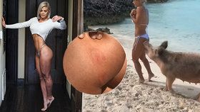 Venezuelskou modelku Michelle Lewinovou pokousalo na pláži divoké prase!