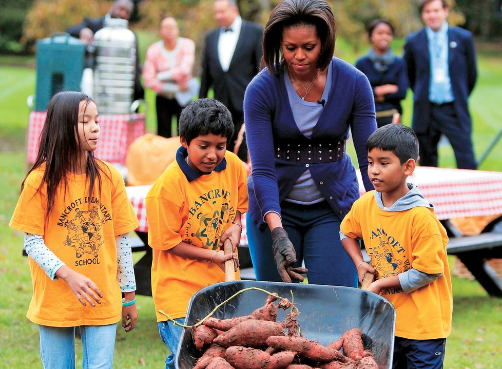 První dáma USA Michelle Obamová sklízí úrodu ze své zeleninové zahrádky u Bílého domu.