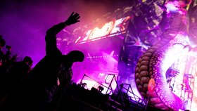 Festival Electric Forest - Ilustrační foto