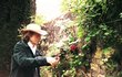 Mick Jagger v karanténě: Úprava růží na zahradě
