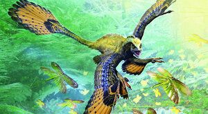 ABC dinosaurů: Microraptor je nejmenší z nejmenších