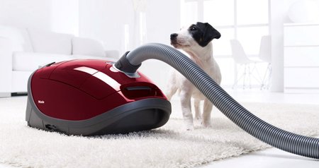 Vysavače Miele pro speciální nároky, model Complete C3 Cat&Dog s turbokartáčem a uhlíkovým filtrem