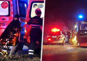 Policie na D8 zastavila auto s 30 migranty, někteří se pokusili utéct.