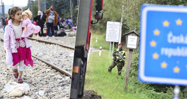 Migranti podali loni v EU přes 720 000 žádostí o azyl, v Česku jsou nejméně úspěšní