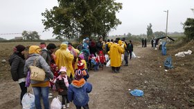 Německá vesnička Sumte má přijmout 1000 migrantů